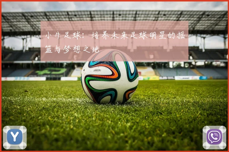 小牛足球：培养未来足球明星的摇篮与梦想之地