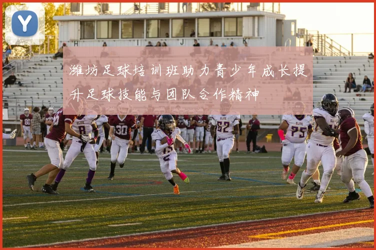 潍坊足球培训班助力青少年成长提升足球技能与团队合作精神